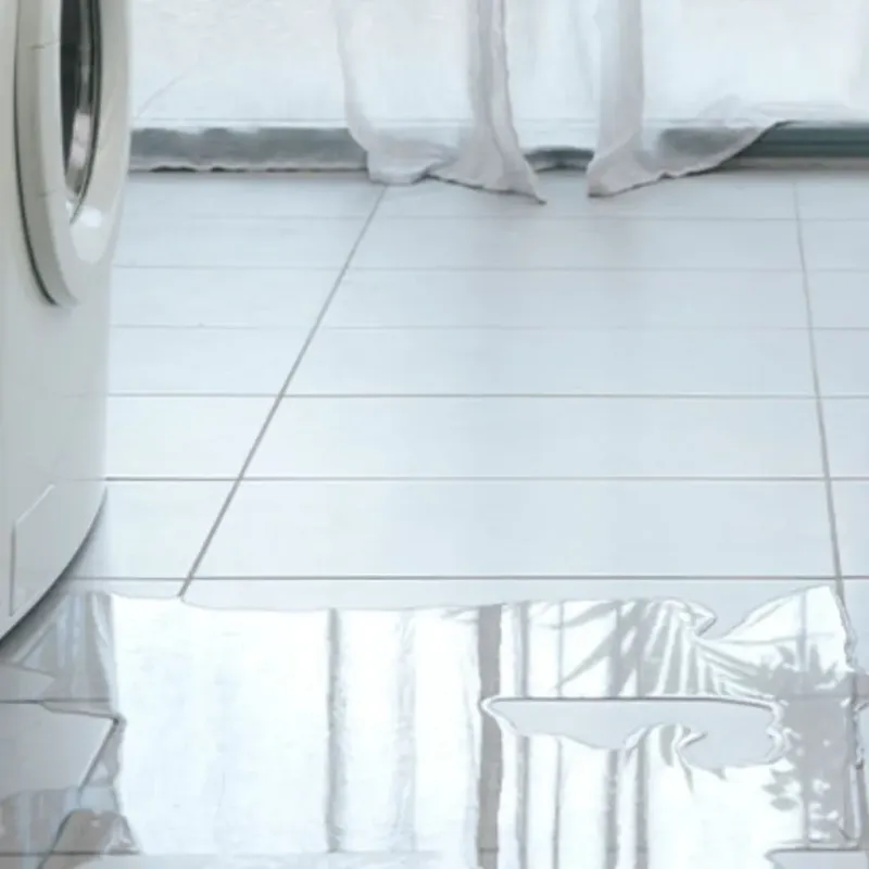 Appliance Leak Cleanup in Georgetown, DE