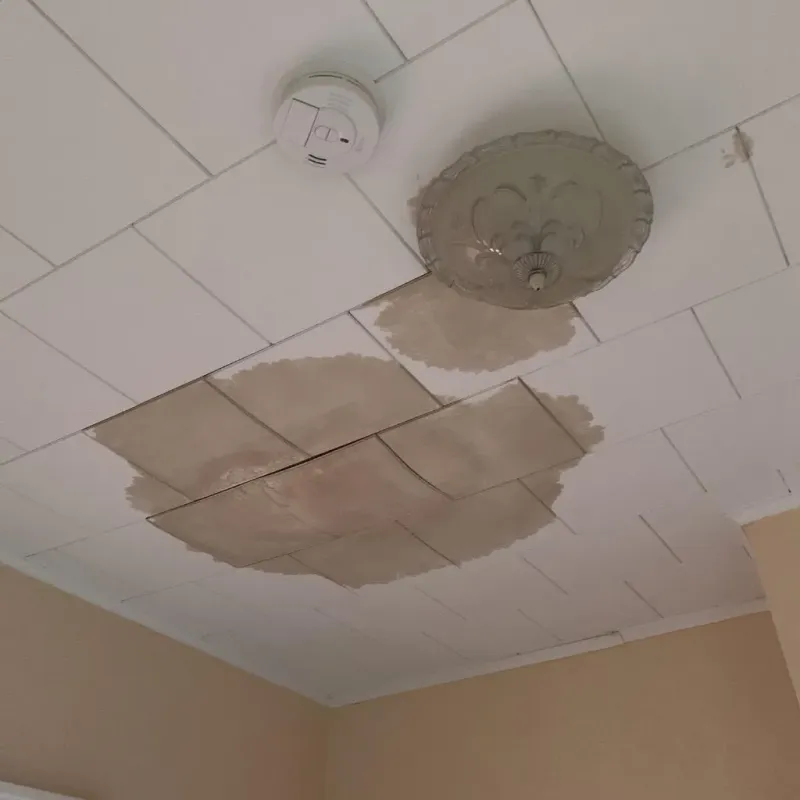 Ceiling Water Damage Repair in Georgetown, DE